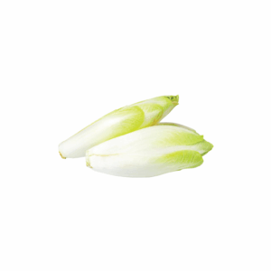 Chicory “Endive” Extra (Pre-Order)