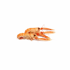 Langoustines “ Scampi”