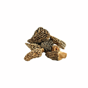 Morels Dried Extra Small
