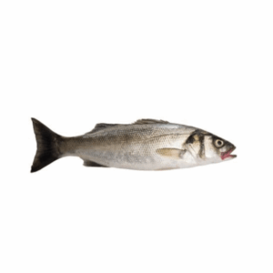 Seabass Whole Farmed (Pre-Order)