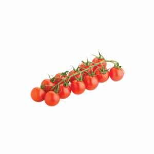 Tomato Cherry on Vine (Pre-Order)