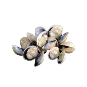 Vongele Clams (Pre-Order)