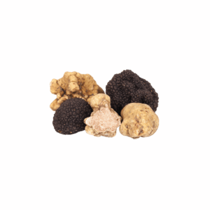 Truffles Fresh /  Market Price