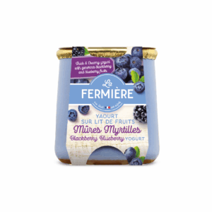 Yogurt Blackberry / Blueberry in Clay pot