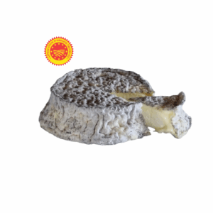 Selles Surchen (Pre-order)