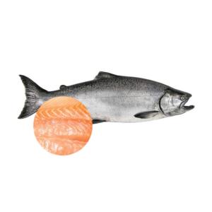 Chinook Salmon Headless