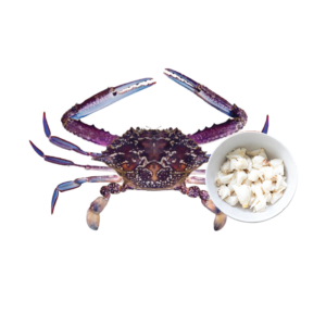 Crab Blue Swimming meat
