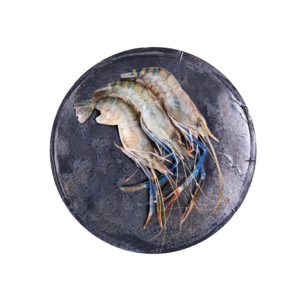 Giant River Prawn “Ulang” 10/12