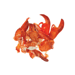 Lobster European Meat raw